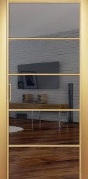 Двери ALUM №5, Алюминиевый профиль золото